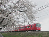 奈良津堤の桜と名鉄電車