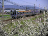 �tࣖ�
