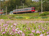 ��񂰔��Ɠ�C2300�n