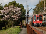 春爛漫2012