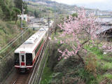 春爛漫2013
