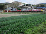 南海高野線30000系「赤こうや」