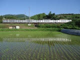 田植え直後の景色を見ながら走る南海高野線2000系